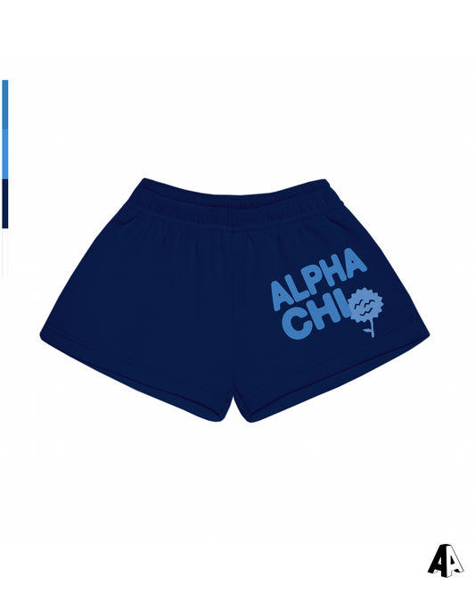 Free Spirit Navy Shorts - Alpha Chi Omega - front